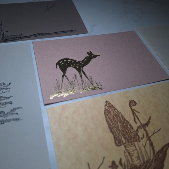 Sarah Gwen Frostic Postcard Block Prints Mini Vintage Nature Michigan Morel Fern - Picture 5 of 12